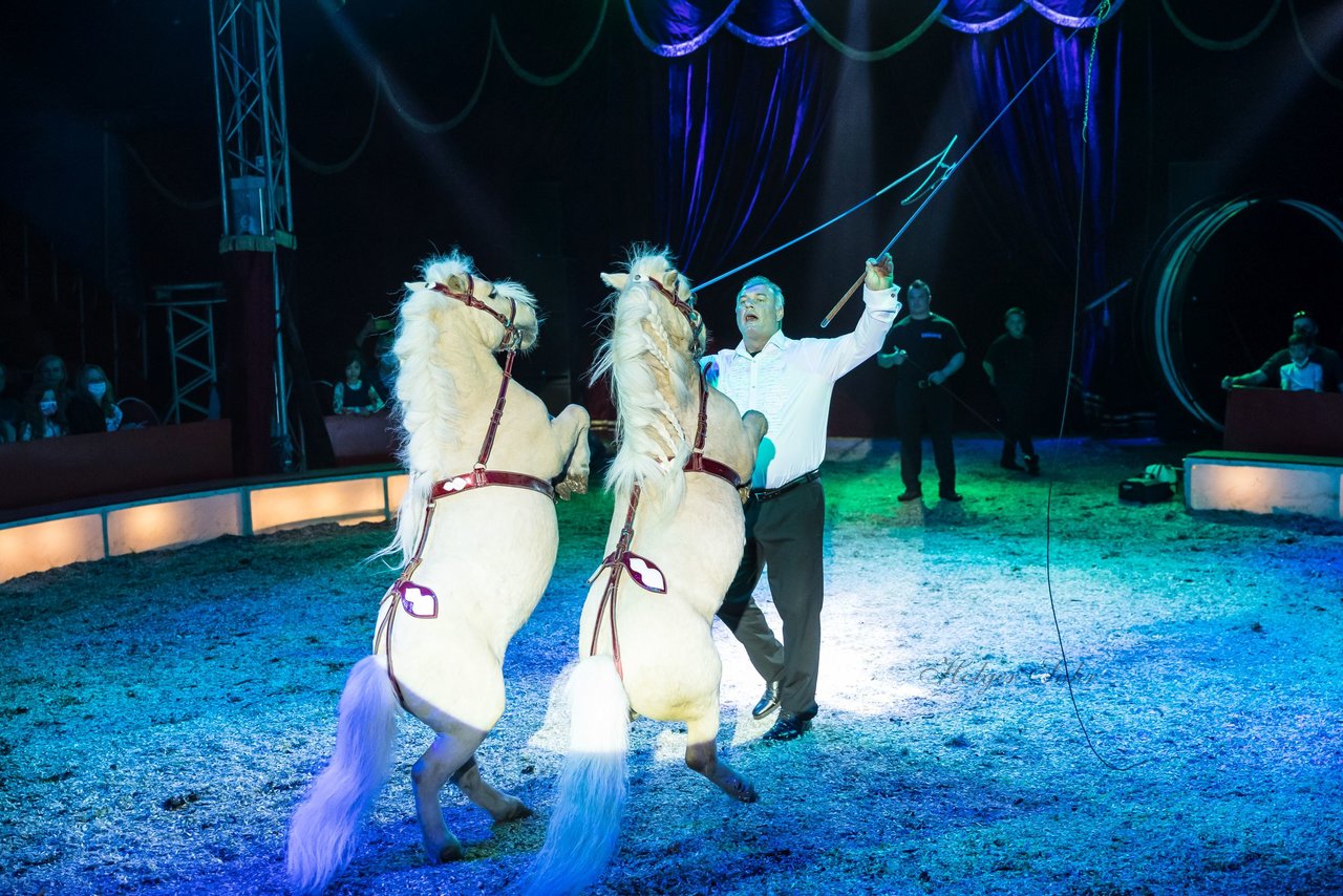 Bild 394 - Zirkus Europa